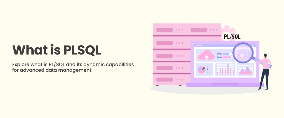 What is PL SQL