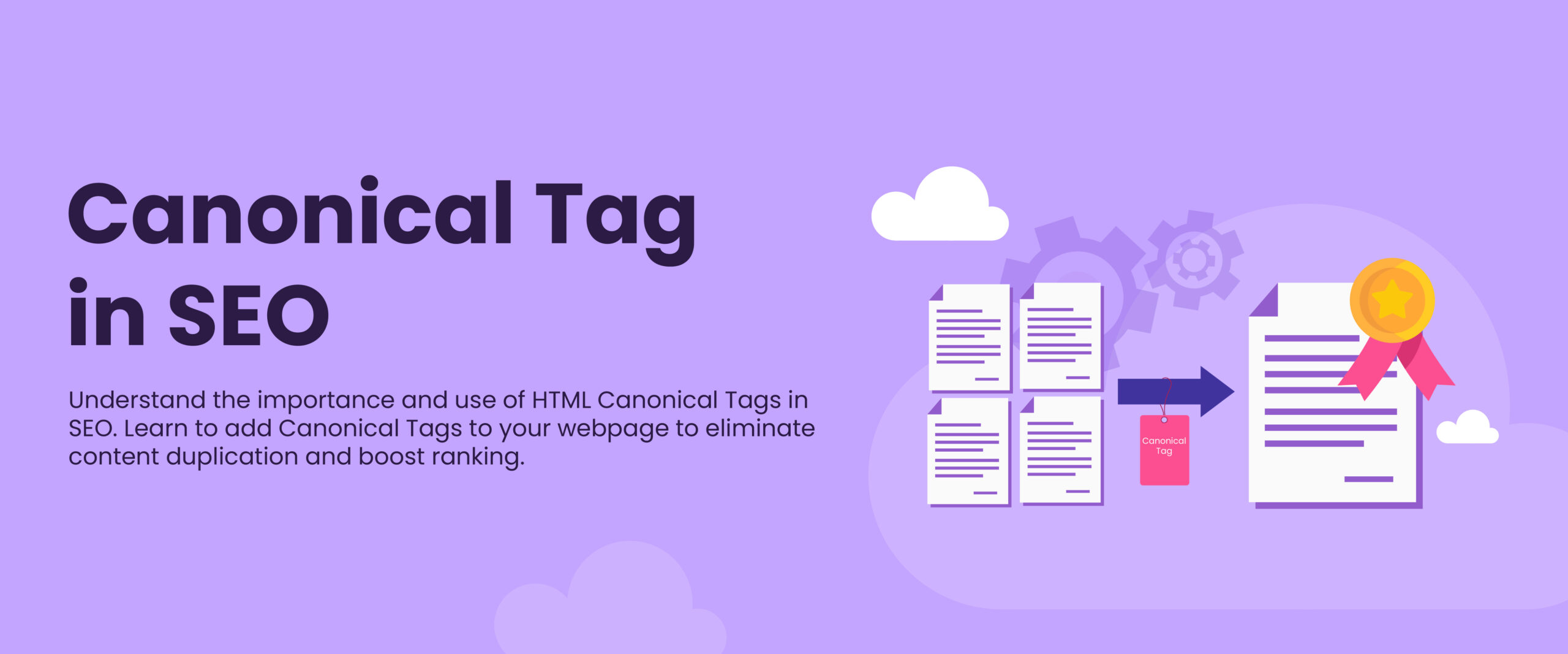 Canonical Tag in SEO