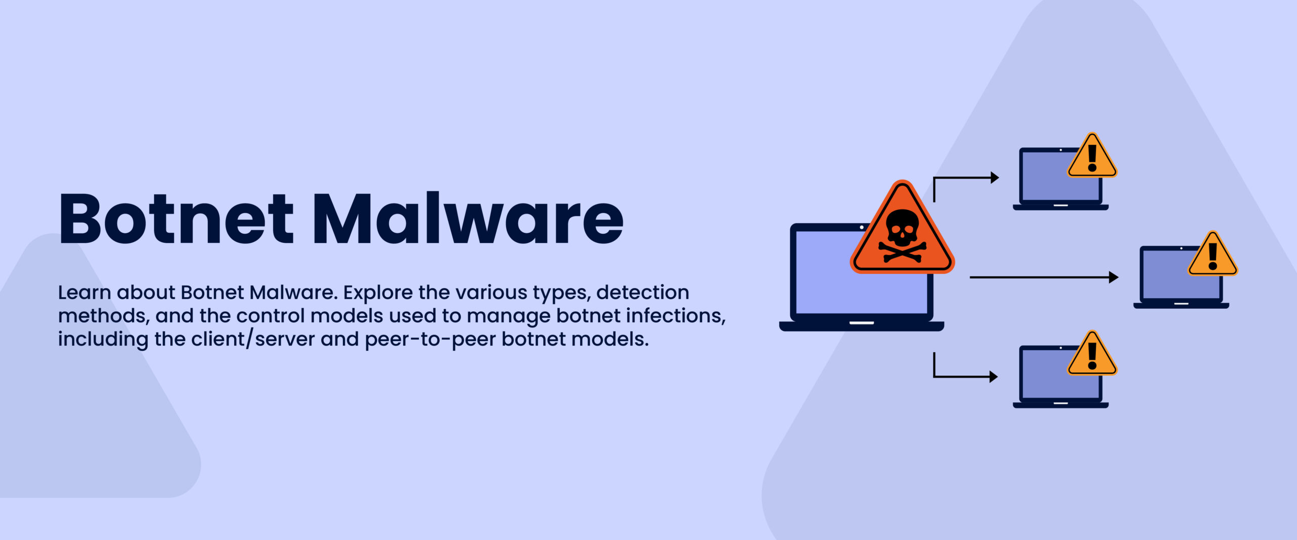 What is Botnet Malware: Structures, Botnet Attacks, & More